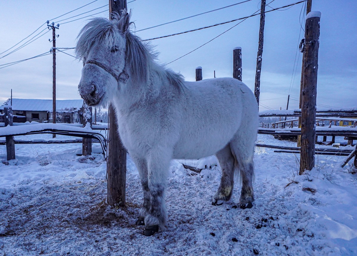 Oymyakon (Оймякон)